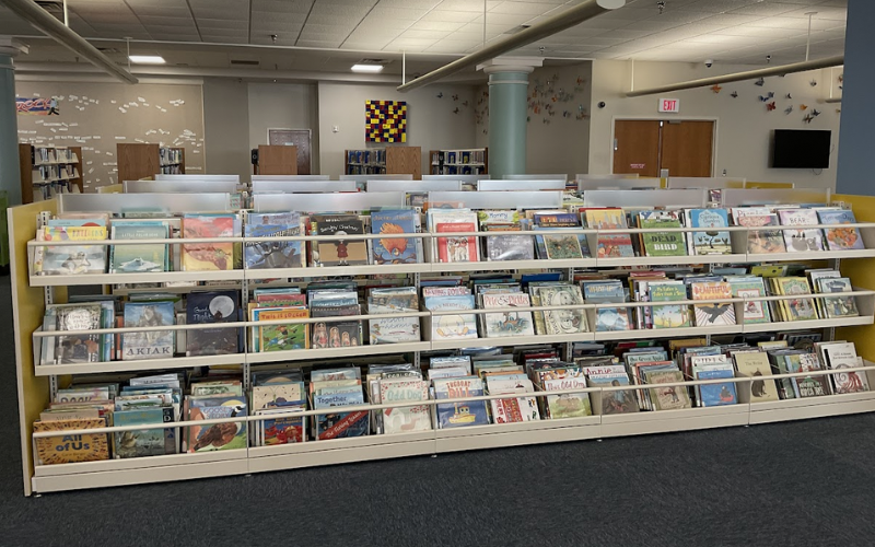 Photo of browsing bins